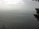 ./images/koeye/fitz-hugh/20200917/fitz-hugh20200917_131001.jpg