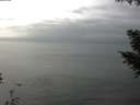 ./images/koeye/fitz-hugh/20200917/fitz-hugh20200917_151502.jpg