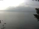 ./images/koeye/fitz-hugh/20200917/fitz-hugh20200917_152502.jpg