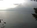 ./images/koeye/fitz-hugh/20200917/fitz-hugh20200917_154001.jpg