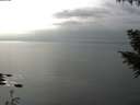 ./images/koeye/fitz-hugh/20200917/fitz-hugh20200917_154501.jpg