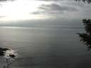 ./images/koeye/fitz-hugh/20200917/fitz-hugh20200917_155501.jpg