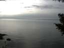 ./images/koeye/fitz-hugh/20200917/fitz-hugh20200917_160001.jpg