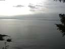 ./images/koeye/fitz-hugh/20200917/fitz-hugh20200917_160501.jpg