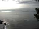 ./images/koeye/fitz-hugh/20200917/fitz-hugh20200917_161001.jpg