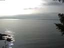 ./images/koeye/fitz-hugh/20200917/fitz-hugh20200917_161501.jpg