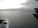 ./images/koeye/fitz-hugh/20200917/fitz-hugh20200917_162001.jpg