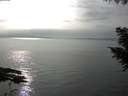 ./images/koeye/fitz-hugh/20200917/fitz-hugh20200917_162501.jpg