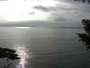 ./images/koeye/fitz-hugh/20200917/fitz-hugh20200917_163501.jpg