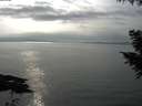 ./images/koeye/fitz-hugh/20200917/fitz-hugh20200917_164001.jpg