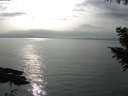 ./images/koeye/fitz-hugh/20200917/fitz-hugh20200917_164501.jpg