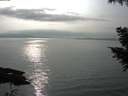 ./images/koeye/fitz-hugh/20200917/fitz-hugh20200917_165001.jpg