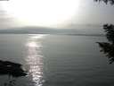 ./images/koeye/fitz-hugh/20200917/fitz-hugh20200917_165501.jpg