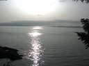 ./images/koeye/fitz-hugh/20200917/fitz-hugh20200917_171501.jpg