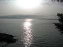 ./images/koeye/fitz-hugh/20200917/fitz-hugh20200917_172502.jpg