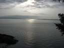 ./images/koeye/fitz-hugh/20200917/fitz-hugh20200917_173502.jpg