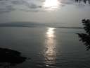 ./images/koeye/fitz-hugh/20200917/fitz-hugh20200917_175502.jpg