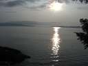 ./images/koeye/fitz-hugh/20200917/fitz-hugh20200917_181502.jpg