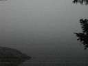 ./images/koeye/fitz-hugh/20200918/fitz-hugh20200918_063501.jpg