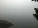 ./images/koeye/fitz-hugh/20200918/fitz-hugh20200918_064001.jpg