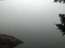 ./images/koeye/fitz-hugh/20200918/fitz-hugh20200918_064501.jpg