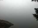 ./images/koeye/fitz-hugh/20200918/fitz-hugh20200918_065001.jpg