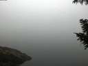 ./images/koeye/fitz-hugh/20200918/fitz-hugh20200918_065501.jpg