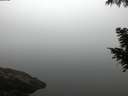 ./images/koeye/fitz-hugh/20200918/fitz-hugh20200918_070501.jpg