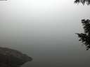 ./images/koeye/fitz-hugh/20200918/fitz-hugh20200918_071001.jpg