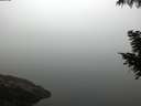 ./images/koeye/fitz-hugh/20200918/fitz-hugh20200918_071501.jpg
