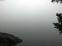 ./images/koeye/fitz-hugh/20200918/fitz-hugh20200918_072001.jpg