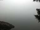./images/koeye/fitz-hugh/20200918/fitz-hugh20200918_072501.jpg