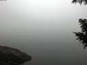 ./images/koeye/fitz-hugh/20200918/fitz-hugh20200918_073501.jpg