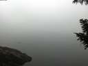 ./images/koeye/fitz-hugh/20200918/fitz-hugh20200918_074001.jpg