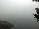 ./images/koeye/fitz-hugh/20200918/fitz-hugh20200918_074501.jpg