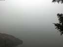./images/koeye/fitz-hugh/20200918/fitz-hugh20200918_075001.jpg