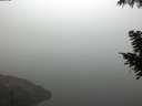 ./images/koeye/fitz-hugh/20200918/fitz-hugh20200918_075501.jpg