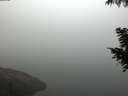 ./images/koeye/fitz-hugh/20200918/fitz-hugh20200918_080002.jpg