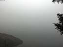 ./images/koeye/fitz-hugh/20200918/fitz-hugh20200918_080501.jpg