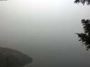 ./images/koeye/fitz-hugh/20200918/fitz-hugh20200918_081001.jpg
