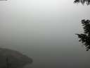 ./images/koeye/fitz-hugh/20200918/fitz-hugh20200918_081501.jpg