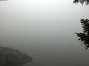 ./images/koeye/fitz-hugh/20200918/fitz-hugh20200918_082001.jpg