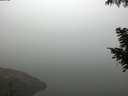 ./images/koeye/fitz-hugh/20200918/fitz-hugh20200918_082502.jpg
