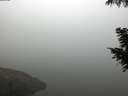 ./images/koeye/fitz-hugh/20200918/fitz-hugh20200918_083502.jpg