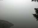 ./images/koeye/fitz-hugh/20200918/fitz-hugh20200918_084001.jpg