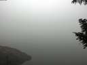 ./images/koeye/fitz-hugh/20200918/fitz-hugh20200918_084501.jpg