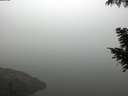 ./images/koeye/fitz-hugh/20200918/fitz-hugh20200918_085002.jpg