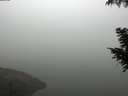 ./images/koeye/fitz-hugh/20200918/fitz-hugh20200918_090502.jpg