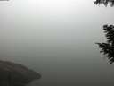 ./images/koeye/fitz-hugh/20200918/fitz-hugh20200918_091002.jpg