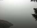 ./images/koeye/fitz-hugh/20200918/fitz-hugh20200918_091502.jpg
